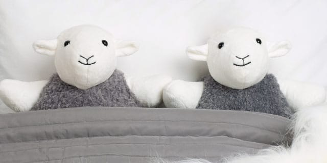 Soft Toys Soft Toys