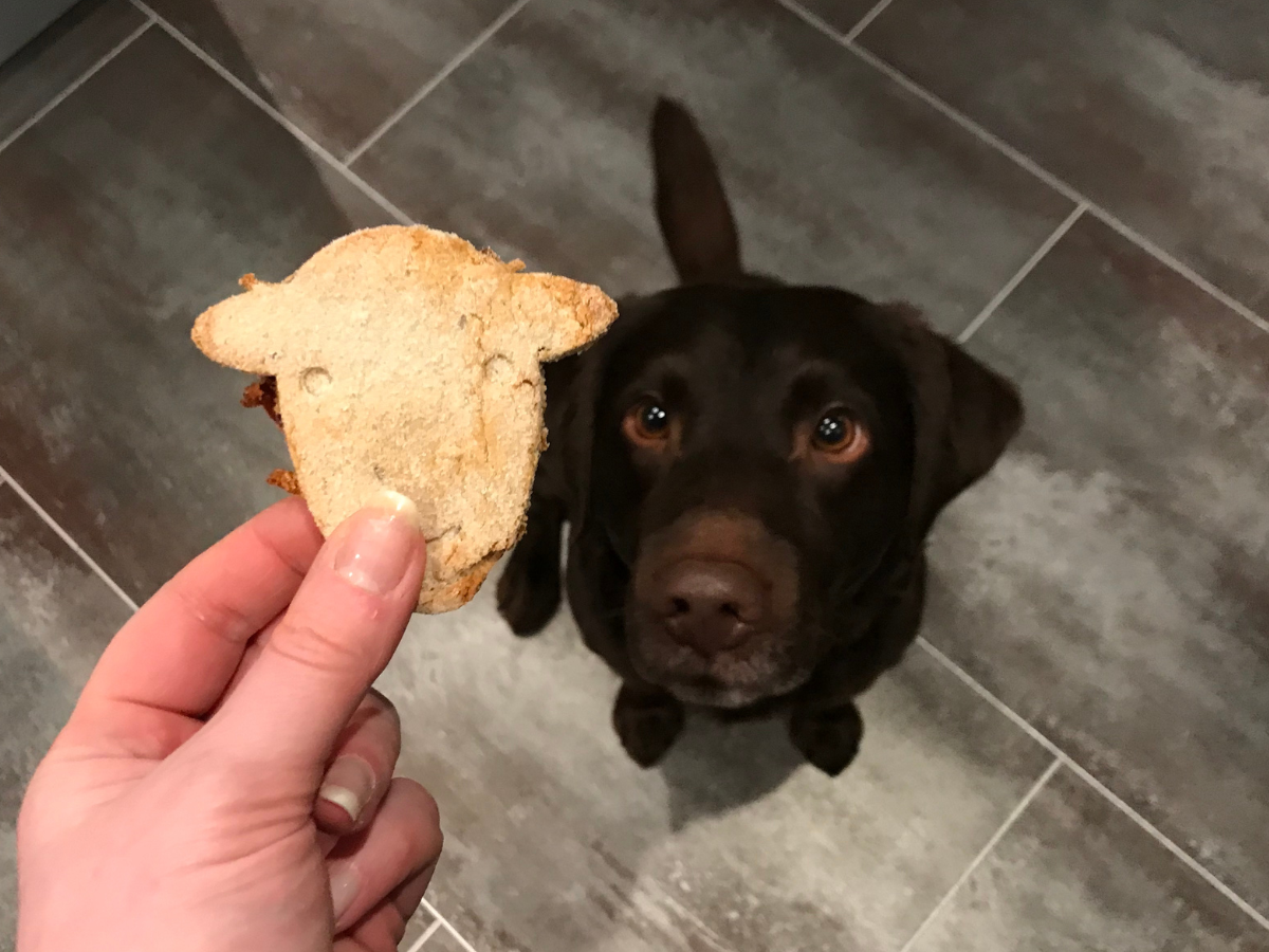 14 Herdy Dog Biscuits