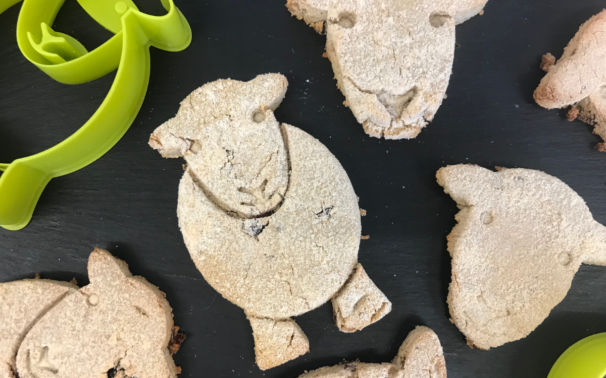 Untitled design-4 Herdy Dog Biscuits