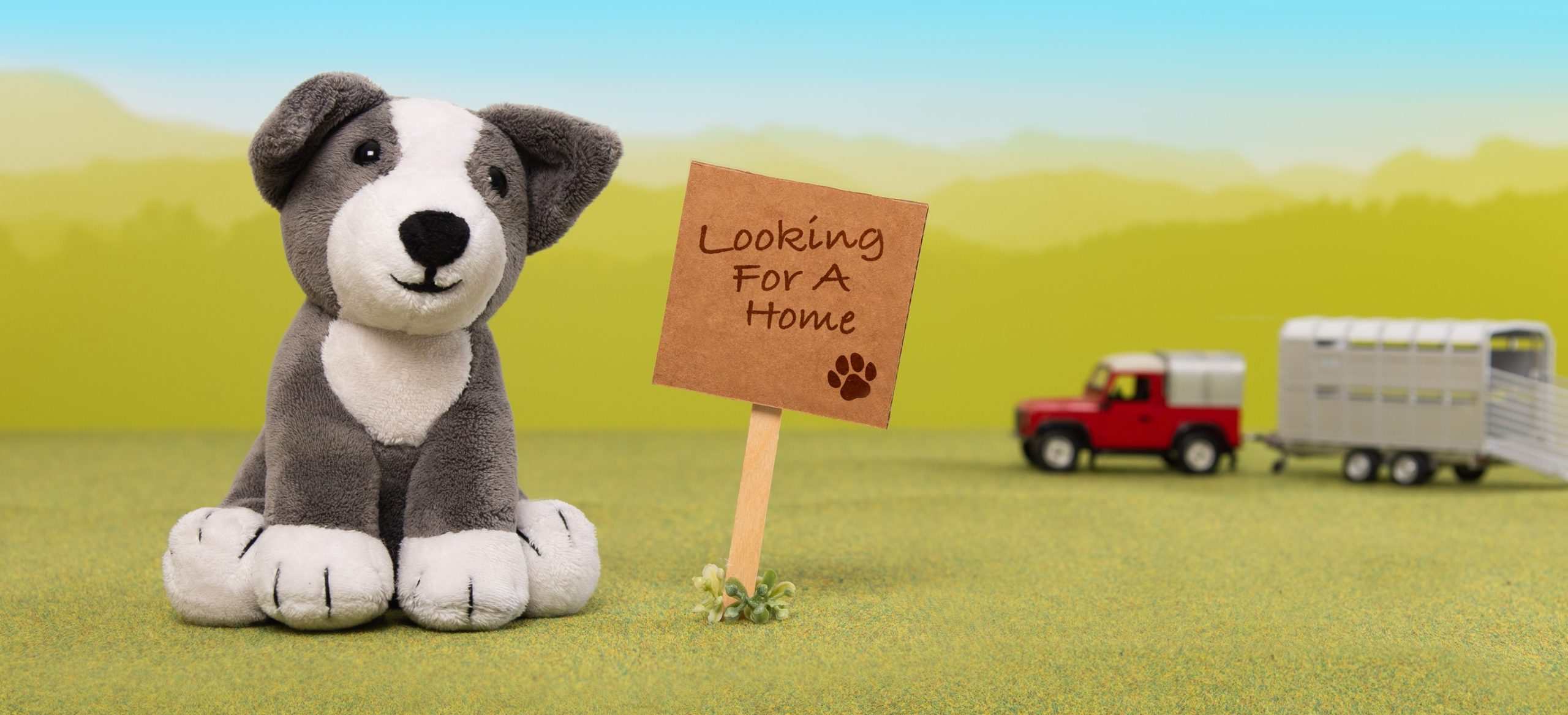Main-slider_Desktop Sheppy Soft Toy