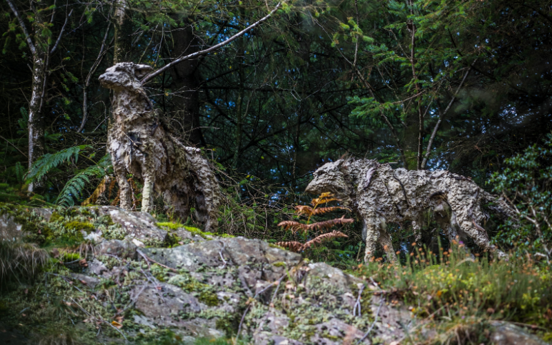 wolf sculptures in Grizedale forest, Cumbria
