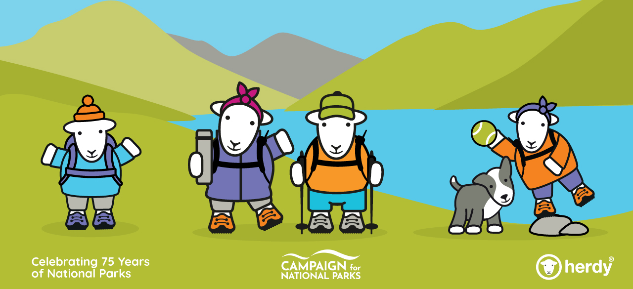 CNP-blog herdy in the Lake District National Park, celebrating 75 years of National Parks