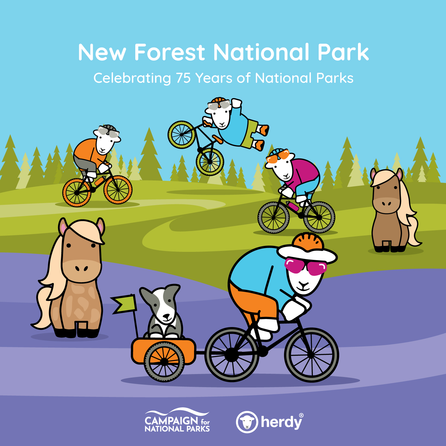 New-Forest--national-park