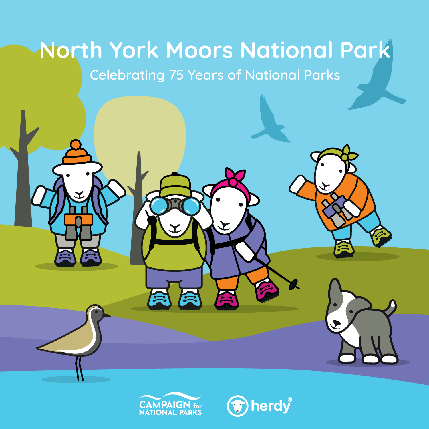 North-York-Moors-national-park herdy in the North York Moors National Park, celebrating 75 years of National Parks