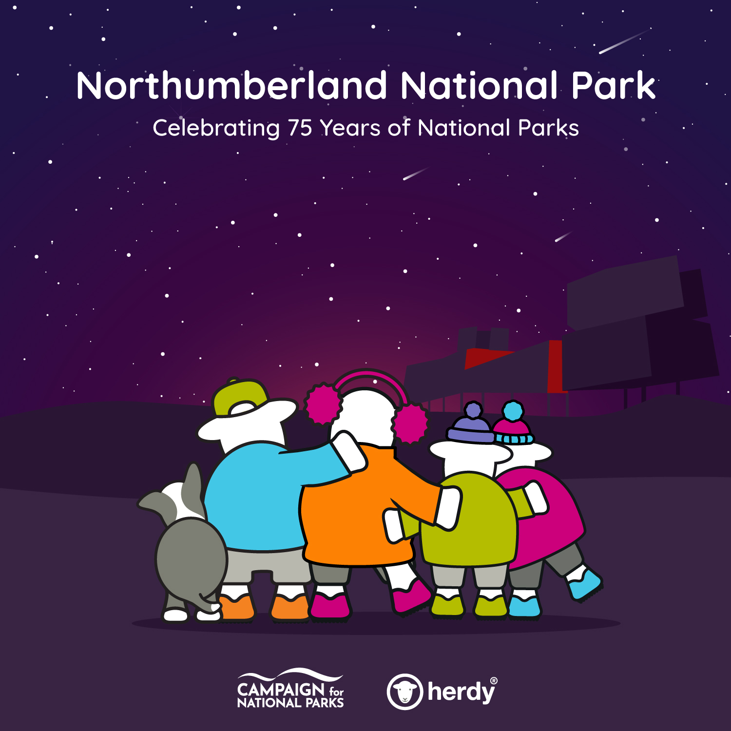 Northumberland-National-Park herdy in the Northumberland National Park, celebrating 75 years of National Parks