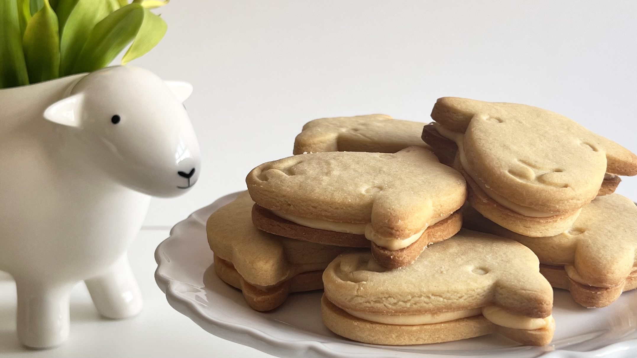 custard cream landcsape 2 copy Herdy Custard Creams