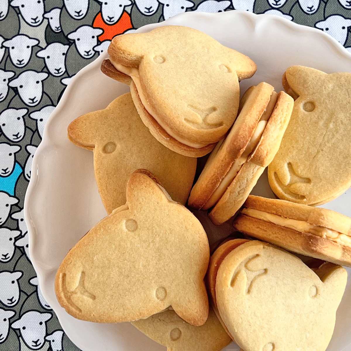 custard cream square herdy custard creams