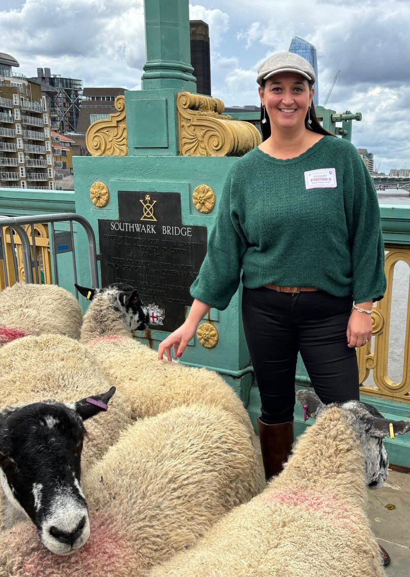Emma Sheep Drive